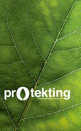 Protekting home