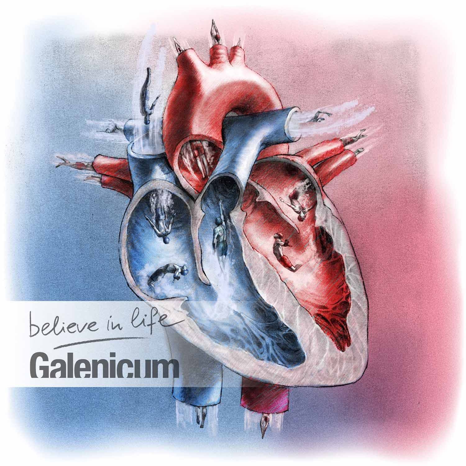 Heart