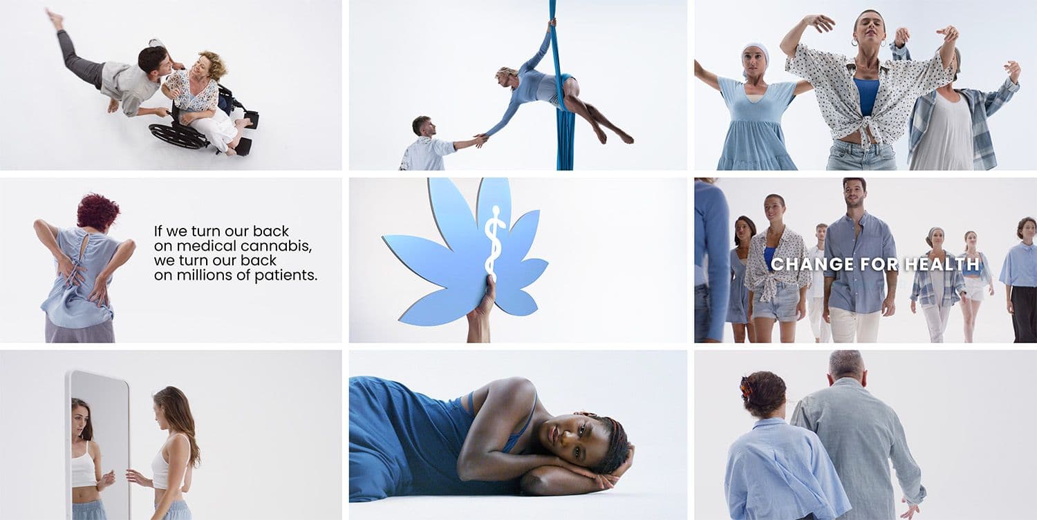 Multipictures video