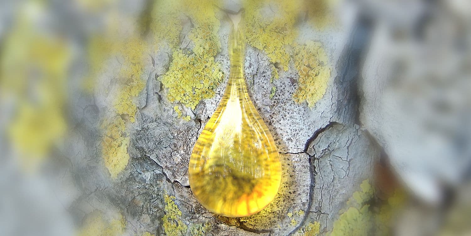 Opso drop resin